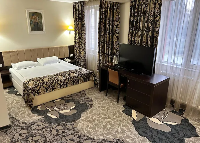 Hotel Bistrita