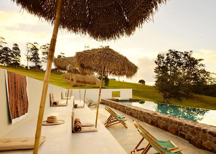 Sun Ranch Byron Bay