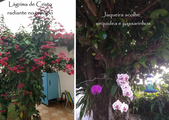 Chalé das Princesas