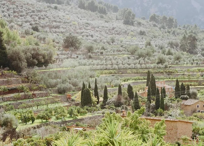 Fornalutx Petit Hotel - Bed&Breakfast