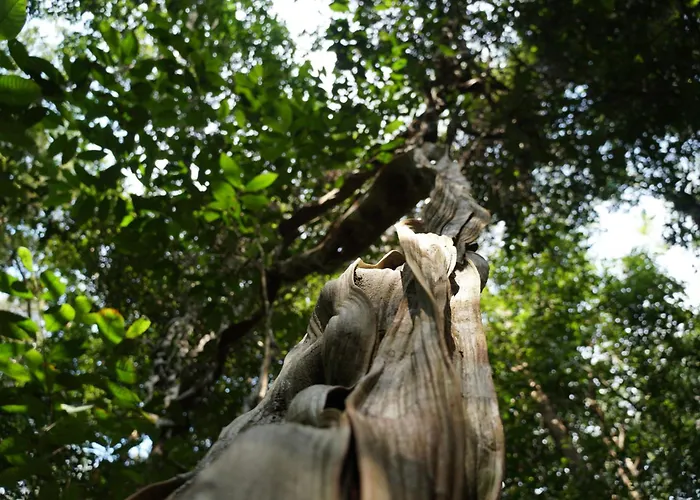 Pousada Da Dri Lodge