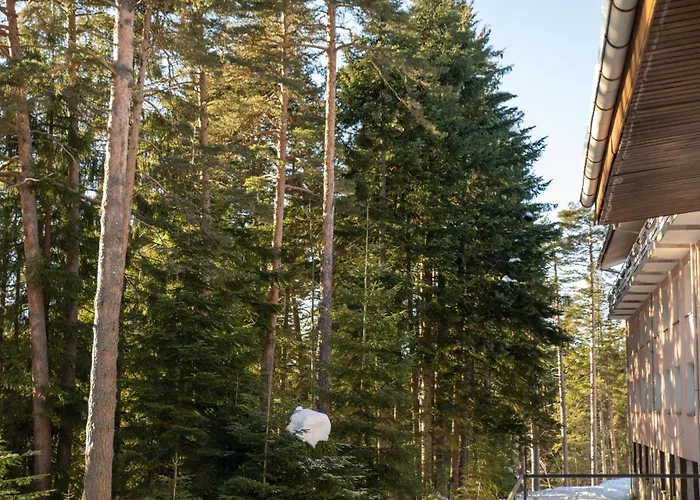 Hotel Borovets Edelweiss