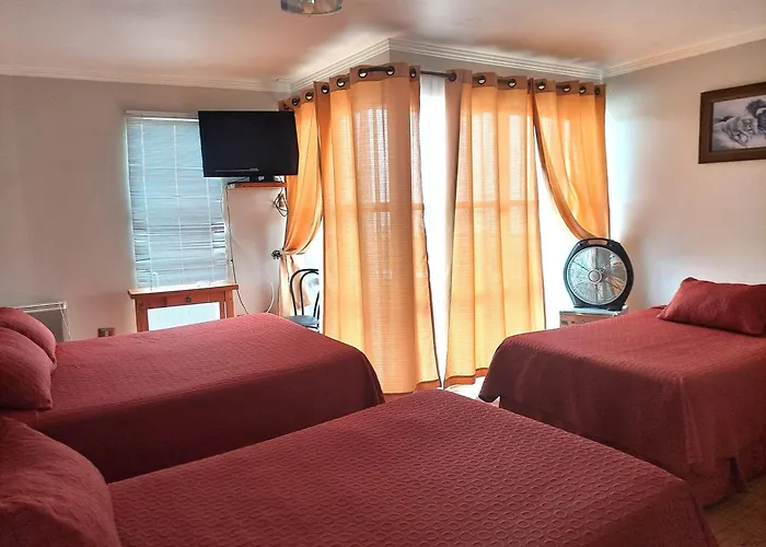 Hotel Solaris