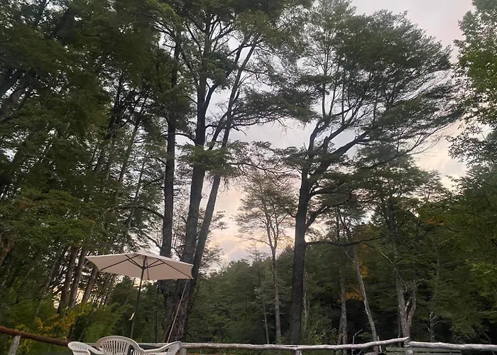 Termas Palguin Pucon