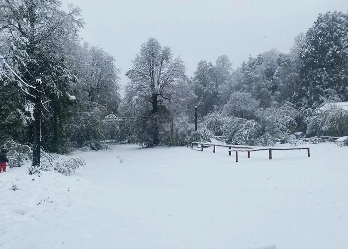 Termas Palguin Pucon