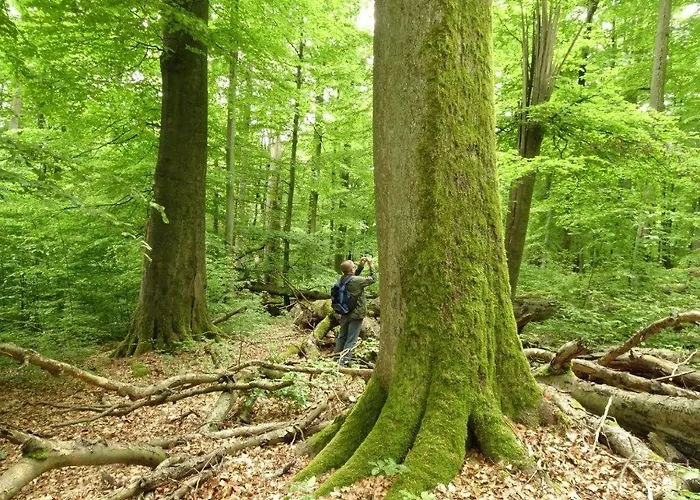 Hotel garni Lindenhof im Steigerwald