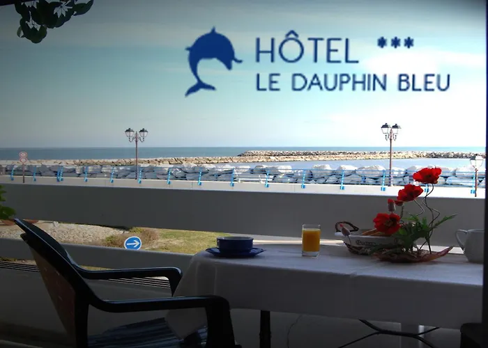 Hotel Le Dauphin Bleu