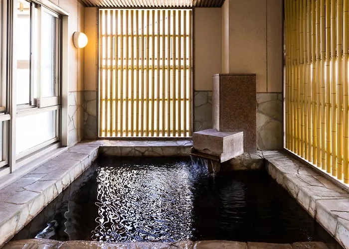Natural Hot Spring Ariston Hotel Oita