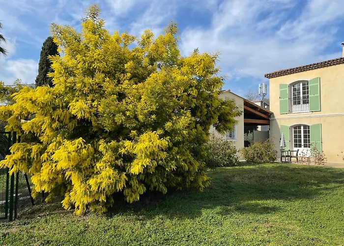 Chambre D'Hotes "La Bastide Des Eucalyptus"