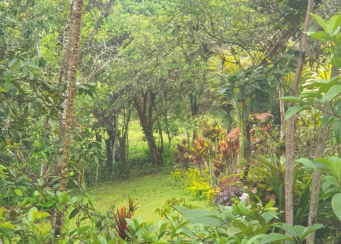 Eco Hotel Manu Viajeros