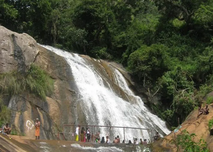 Coastal Grand Mahendravanam - Kolli Hills