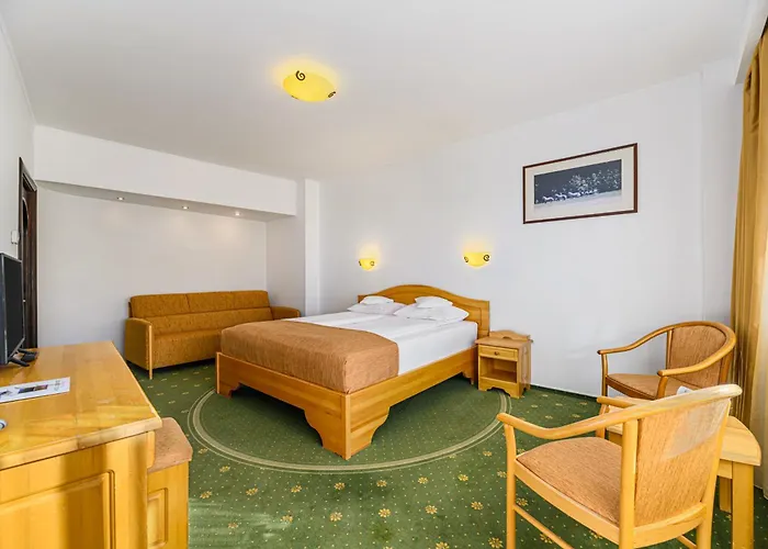 Hotel Casa Viorel Jacuzzi & Saunas