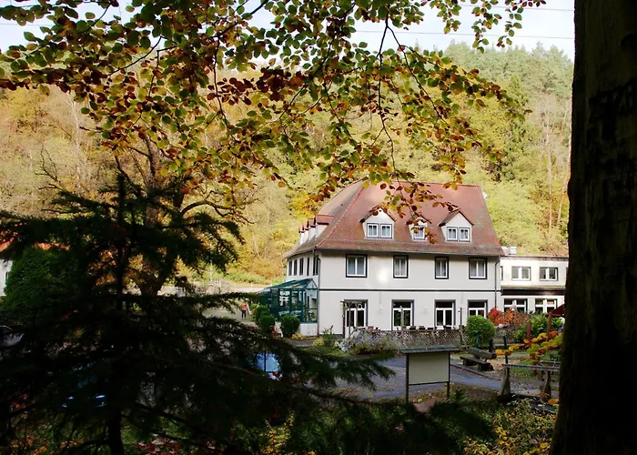 Waldhotel Linzmühle