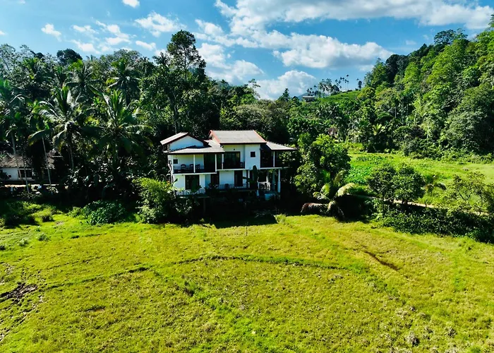Wildlife Kingdom - Deniyaya Sinharaja
