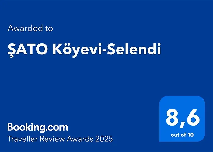 Sato Koeyevi-Selendi
