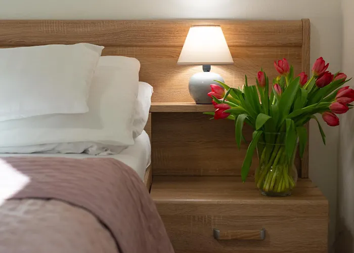Hotel Tulipan