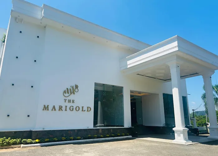 The Marigold Hotel