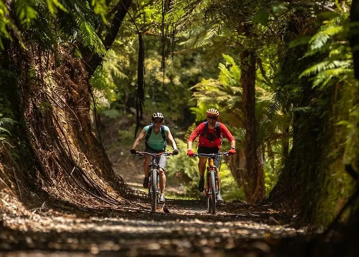 Timber Trail Lodge