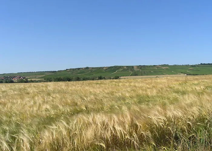 Natur und Ruhe