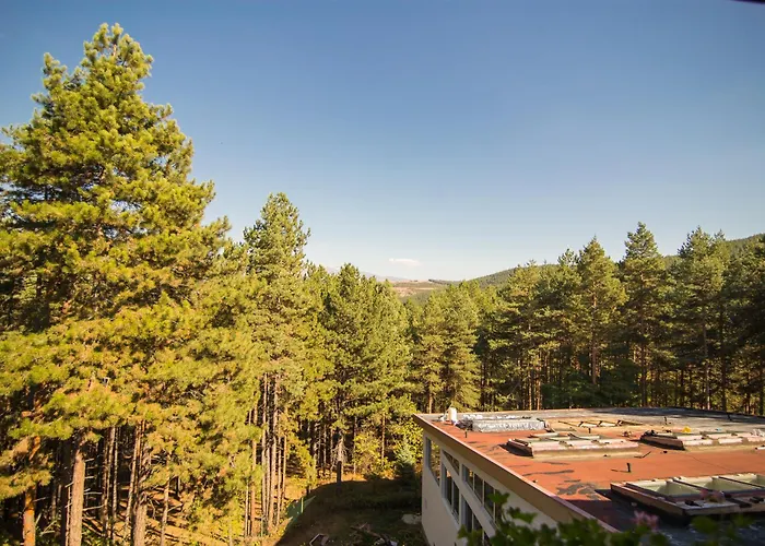 Family Hotel Borova Gora