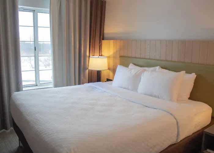 Country Inn & Suites By Radisson, Big Rapids, Mi