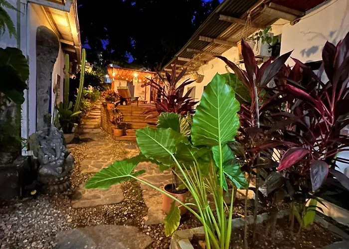 Hotel Renasci Palomino
