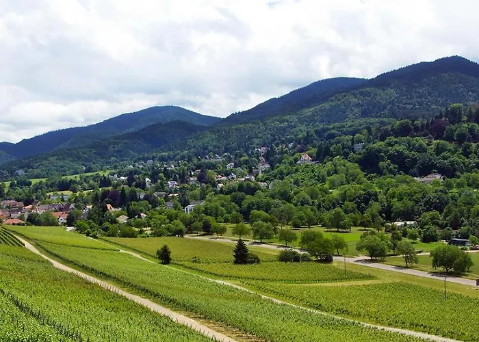 NaturMed Hotel am Park
