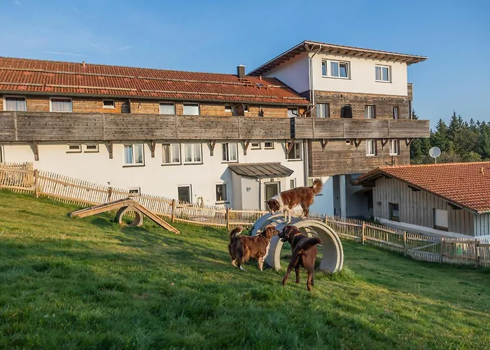 Landhotel Haus Waldeck - Urlaub mit Hund - Superior