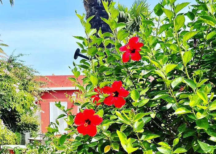 Hotel La Pena