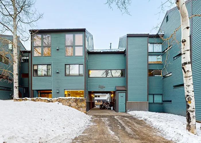 Telluride Lodge 324