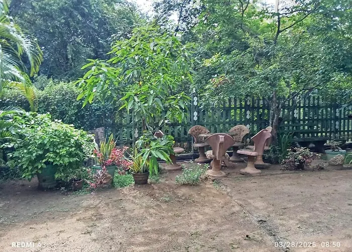Jungle View Guest