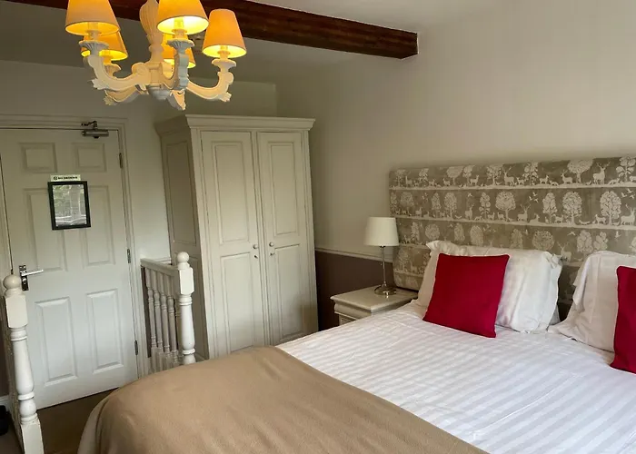 Oyo New Inn Hotel