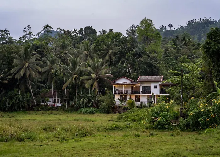 Wildlife Kingdom - Deniyaya Sinharaja