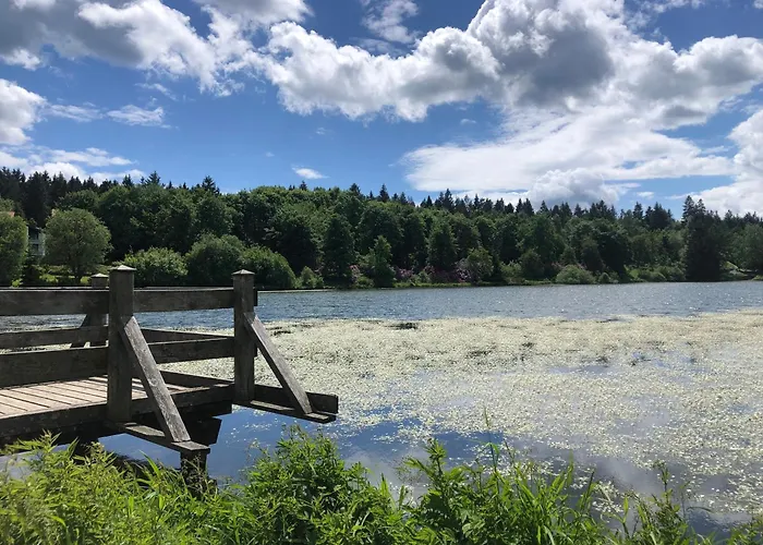 Ferienwohnung Panoramablick Hahnenklee