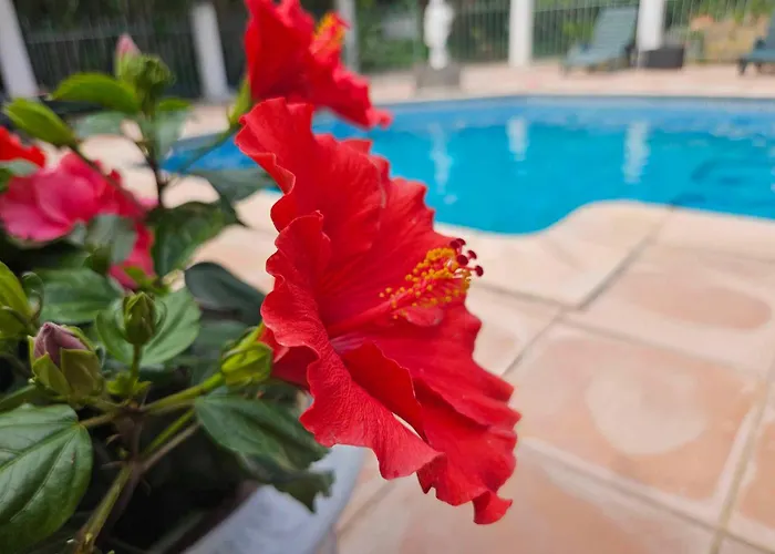 Les Jardins Du Patriarche Hotel