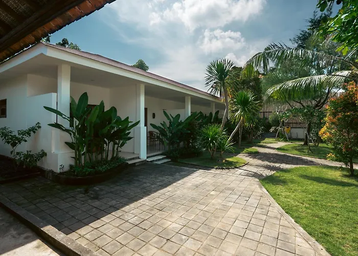 Zena Surf Suite