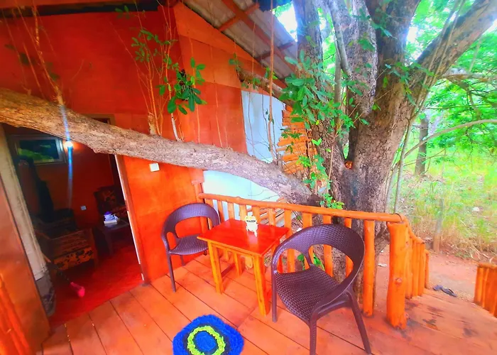 Tree House 4 Nature Lovers