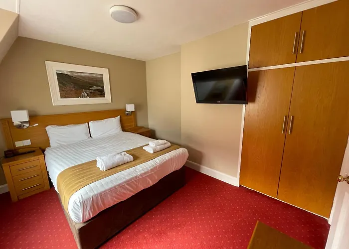 Belmore Court & Motel