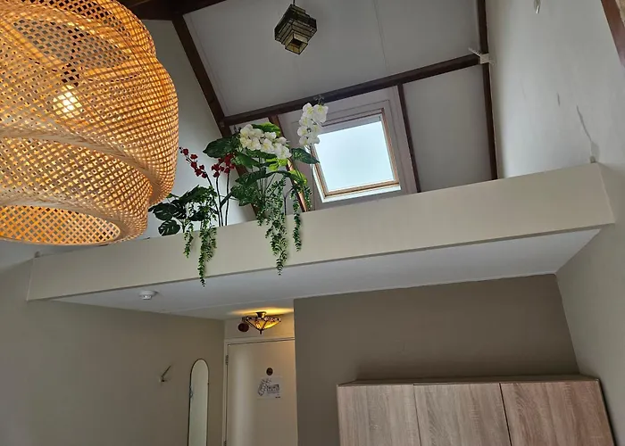 Hotel Dolores Ameland