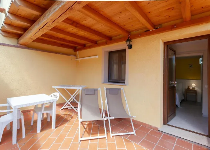 Domus Francy