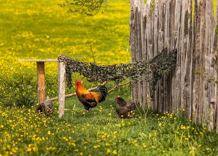 Ferienwohnungen am Gablerhof