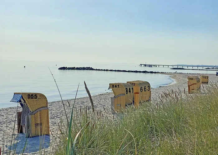 FeWo Backboard mit eingez Garten direkt am Hundestrand