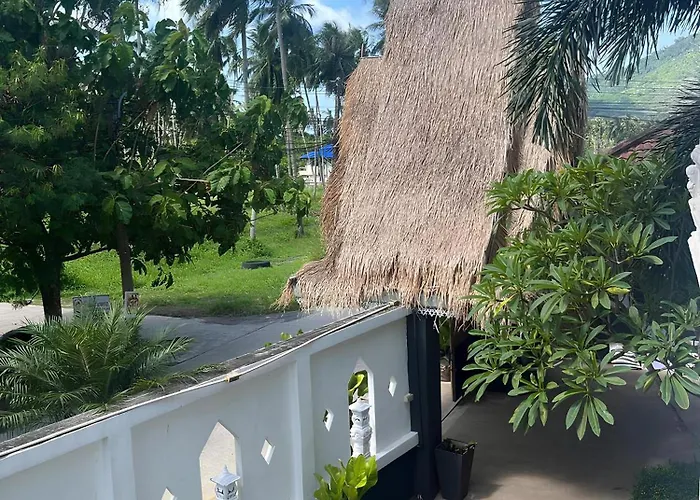 Tropical Palm