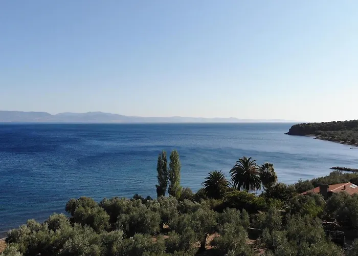 Idaolea Assos