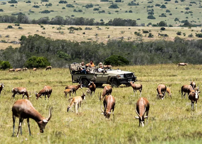 Lalibela Wildlife Reserve - Inzolo Lodge