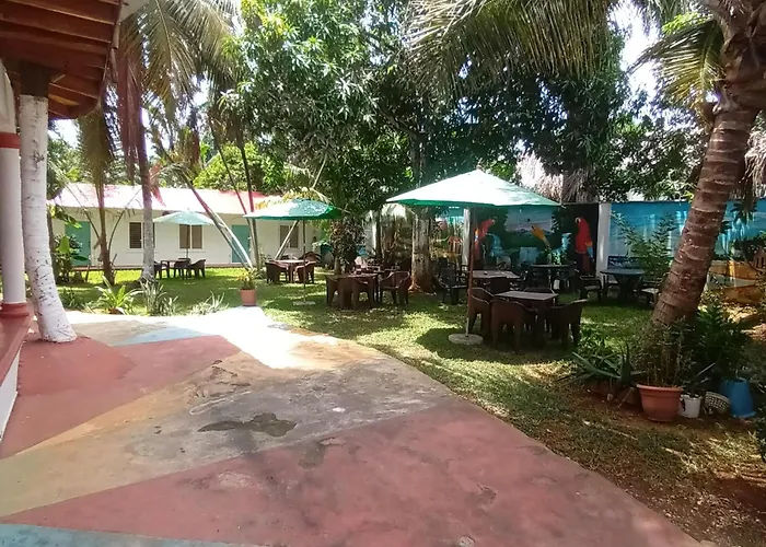 El Jardin Del Coco