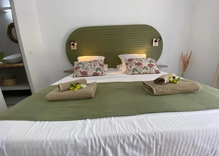 Hotel La Metisse