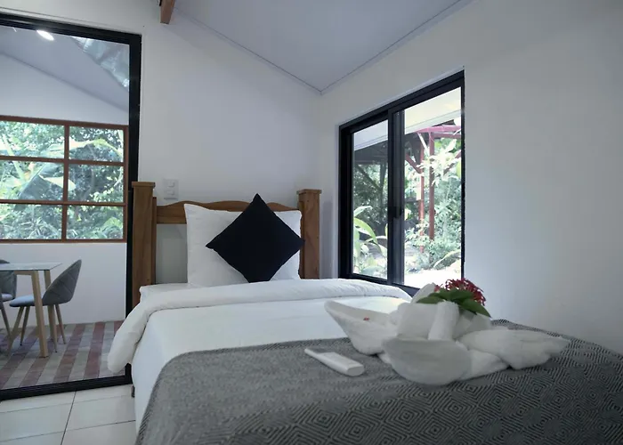 Jungles Edge Hotel, Jiu Jitsu, Muay Thai Retreat Center