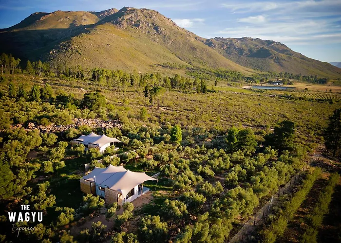 Wagyu Mountain Lodge