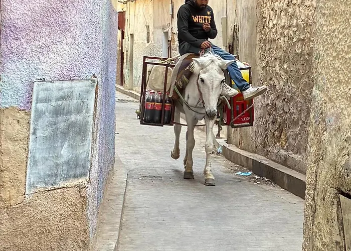 Riad Serendipity